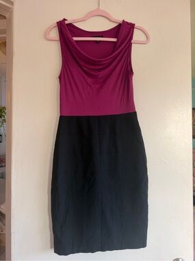 Sleeveless Fuchsia and Black Colorblock bodycon Dress